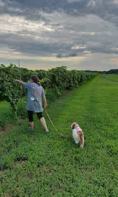 Grape Country RV Park