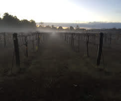 Grape Country RV Park