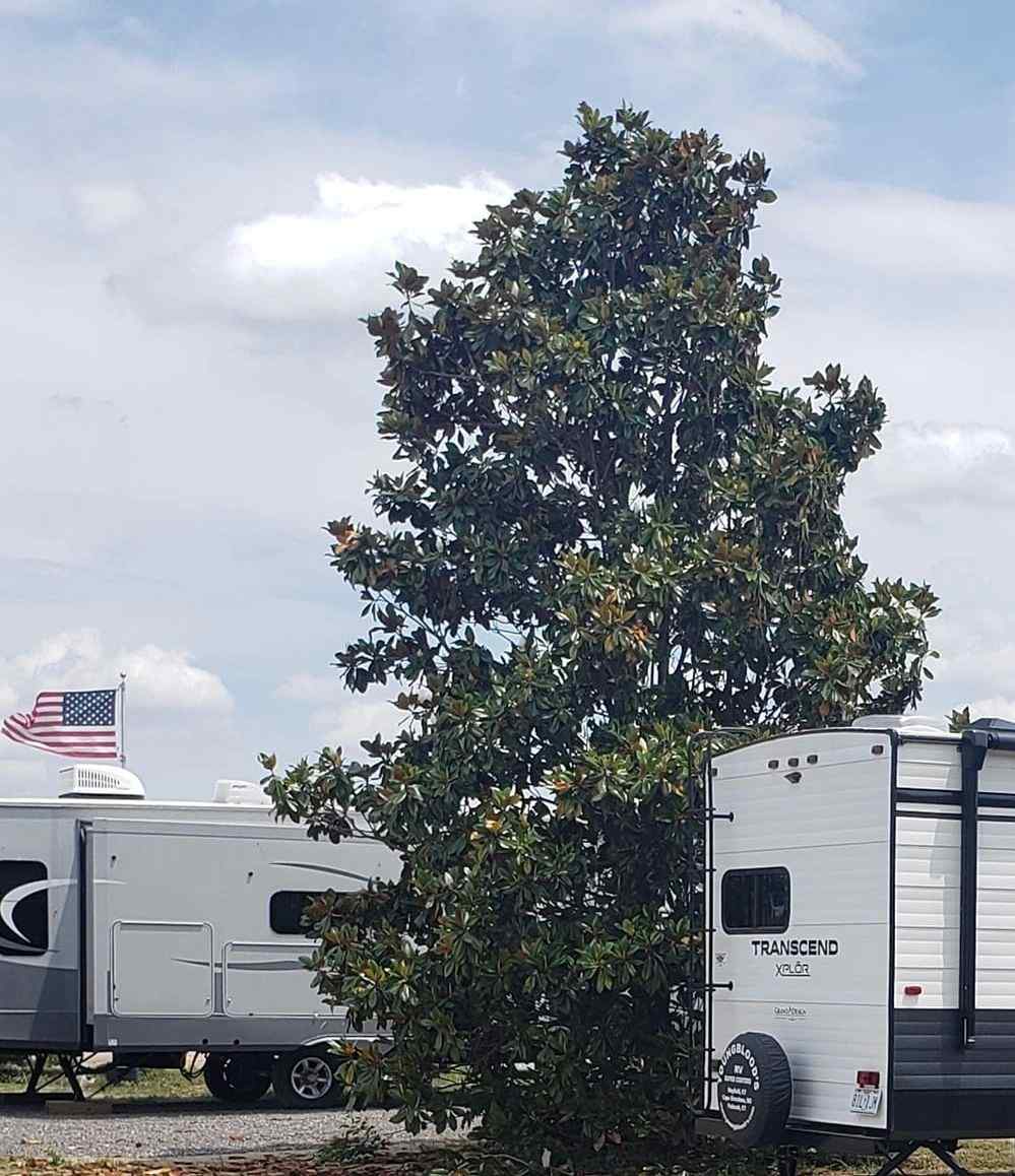 The Magnolia Campground and Store