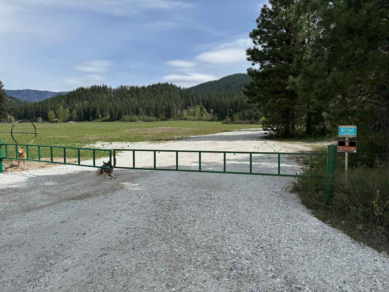 Discover Plain Camp