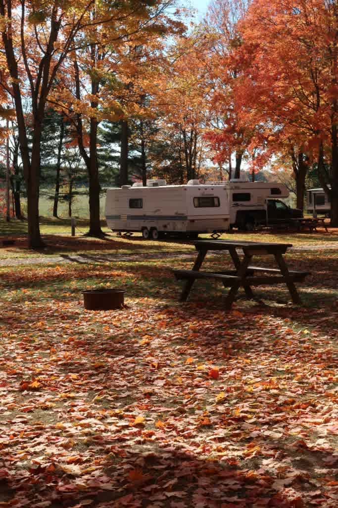 Meadow Lake Park