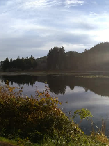 ADA Fishing Resort