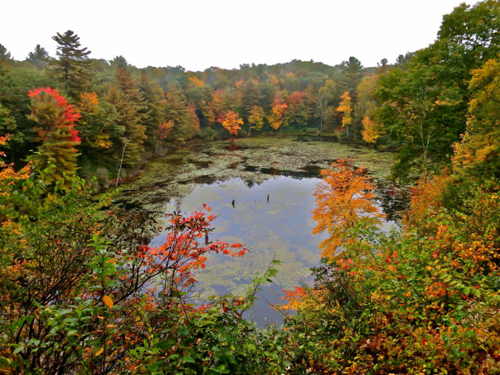 White Memorial Family Campground