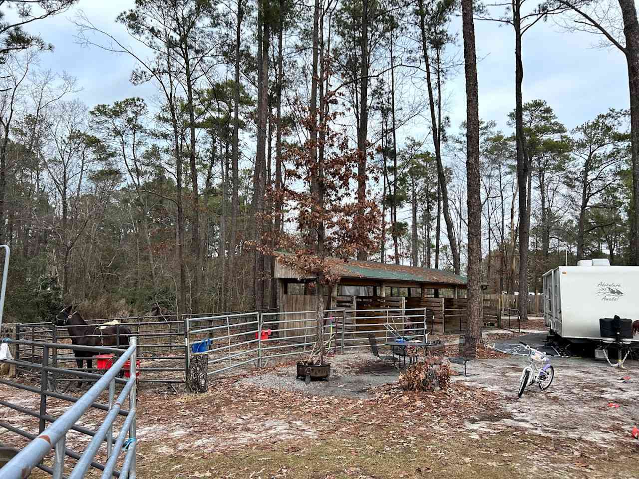 Daily Walk Stables WELCOME CAMPERS