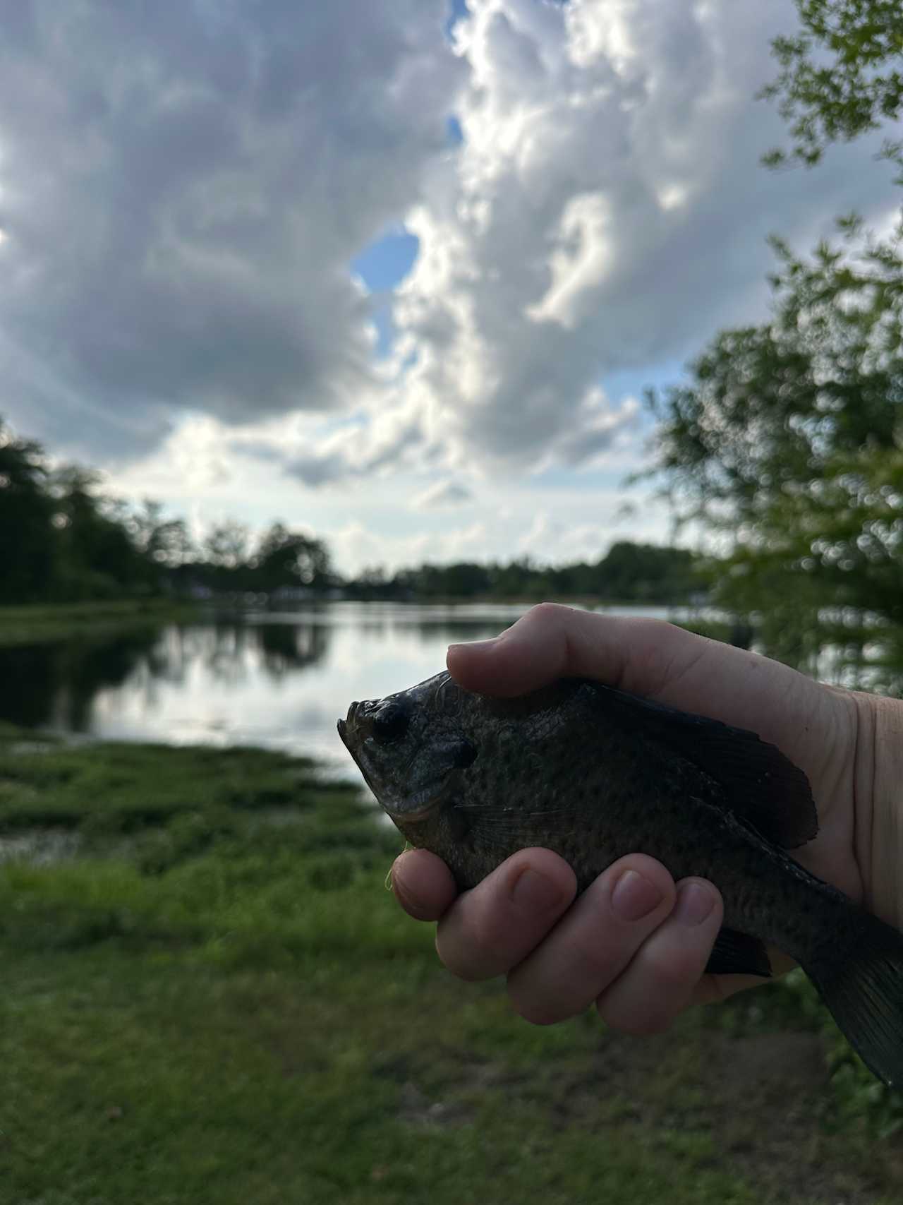 JCO Campground at Lee Baysden Pond
