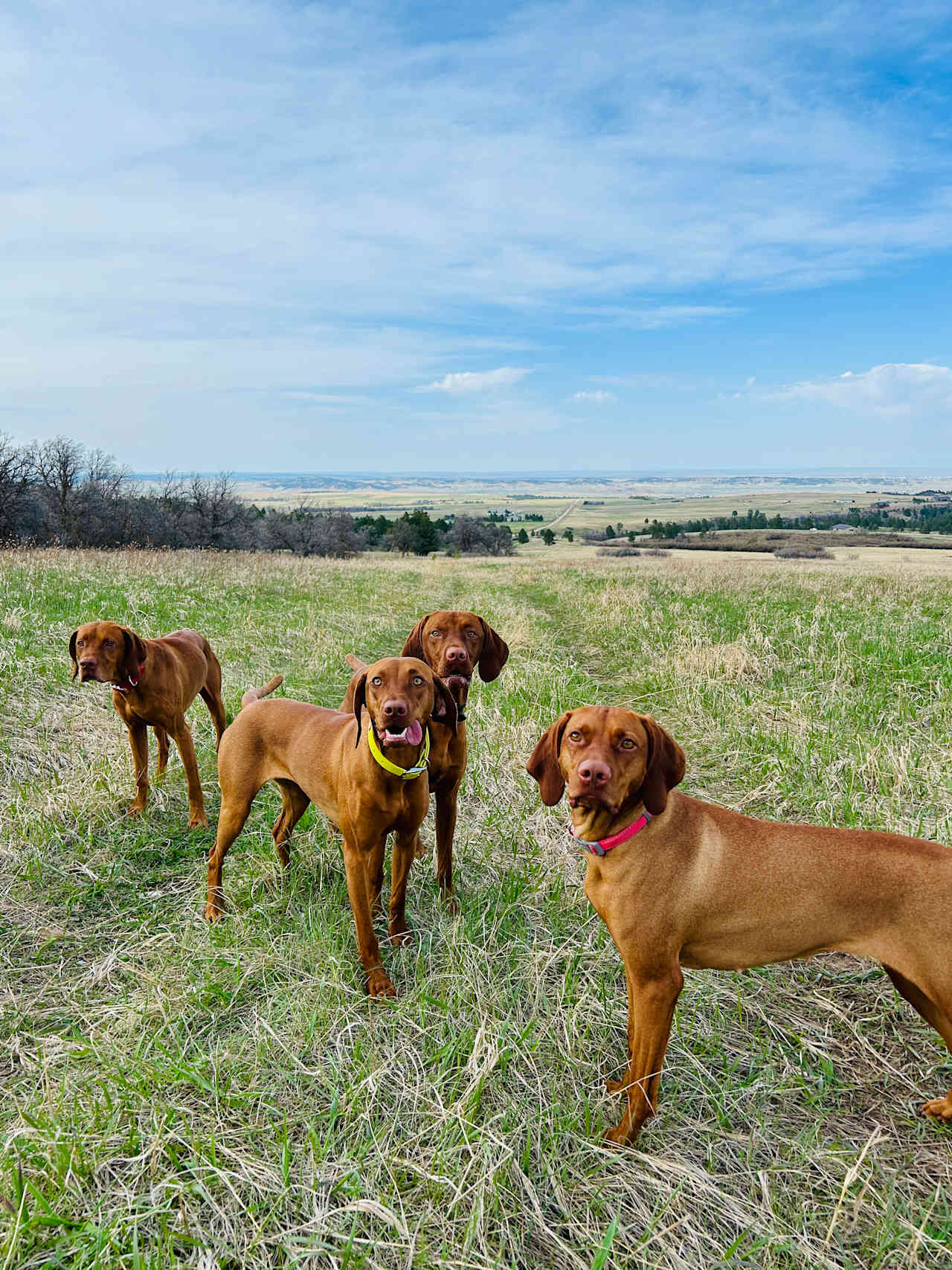 Crow Peak’s Last Best Place
