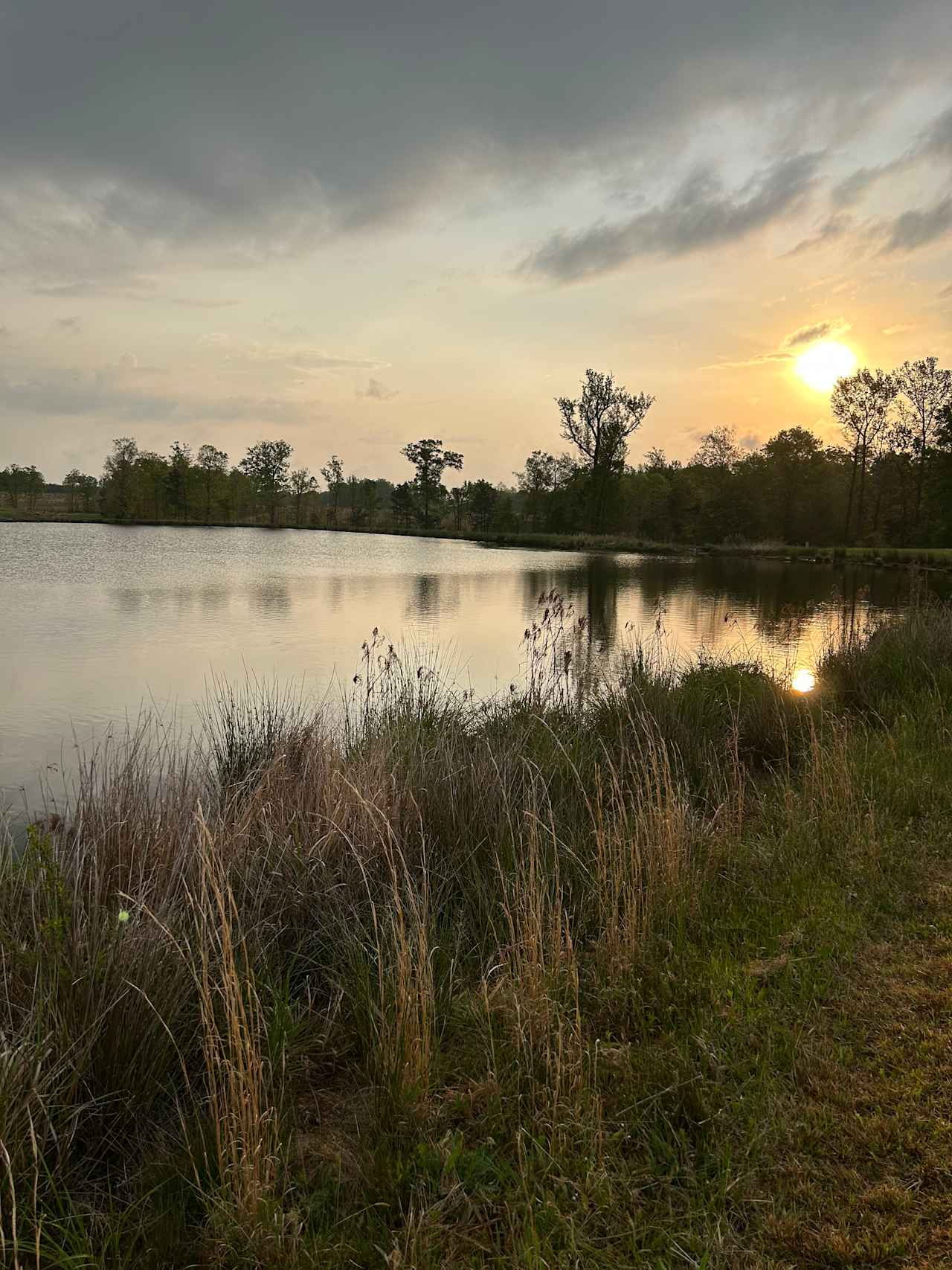Ammon Creek Farm