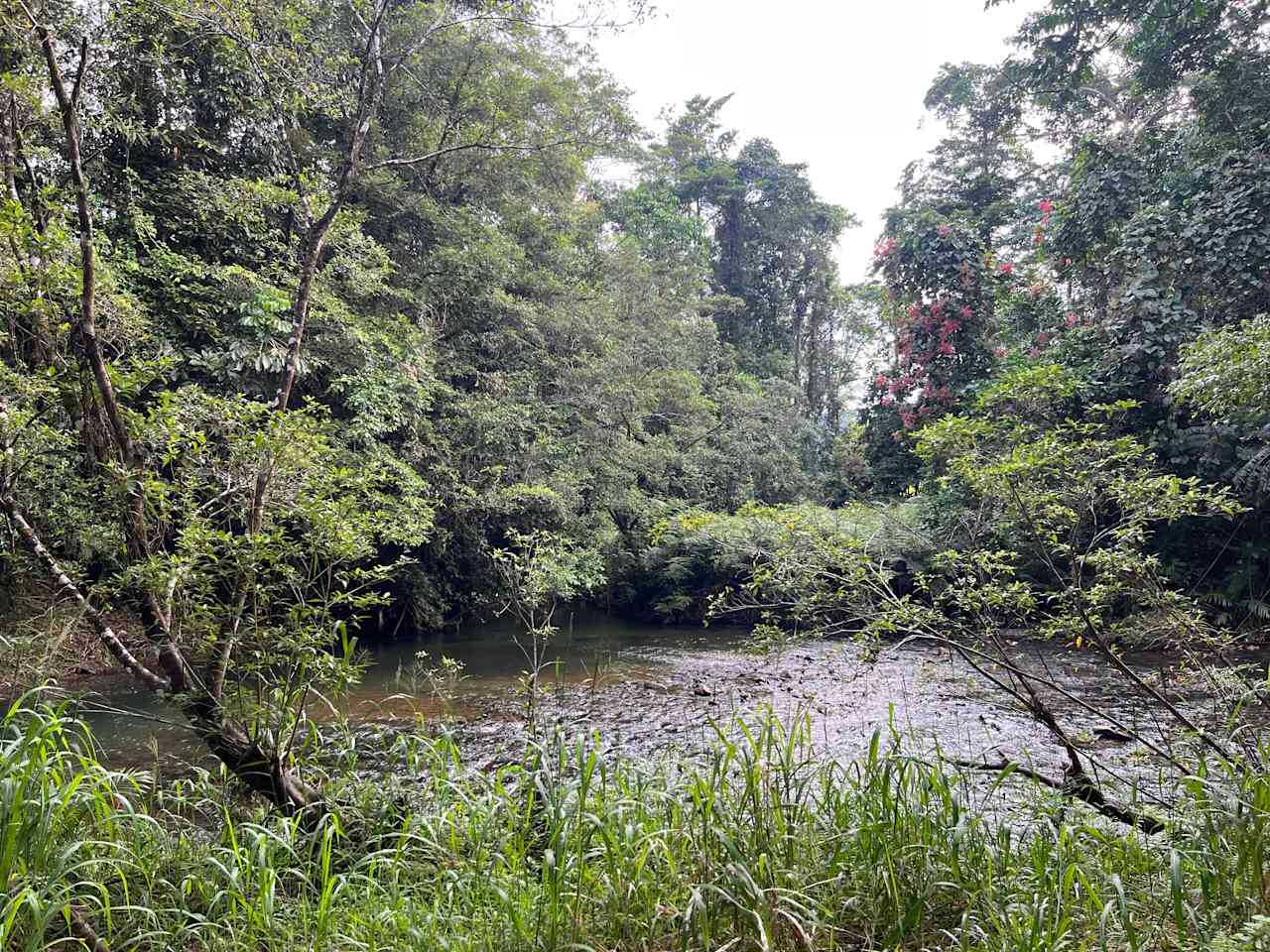 Crystal Valley