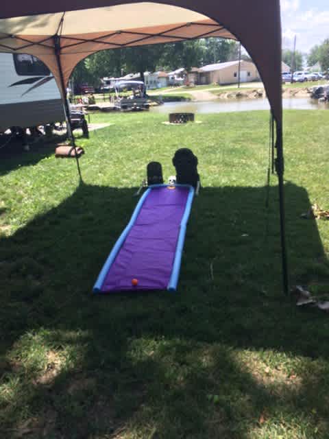 Lotus Cove Campground