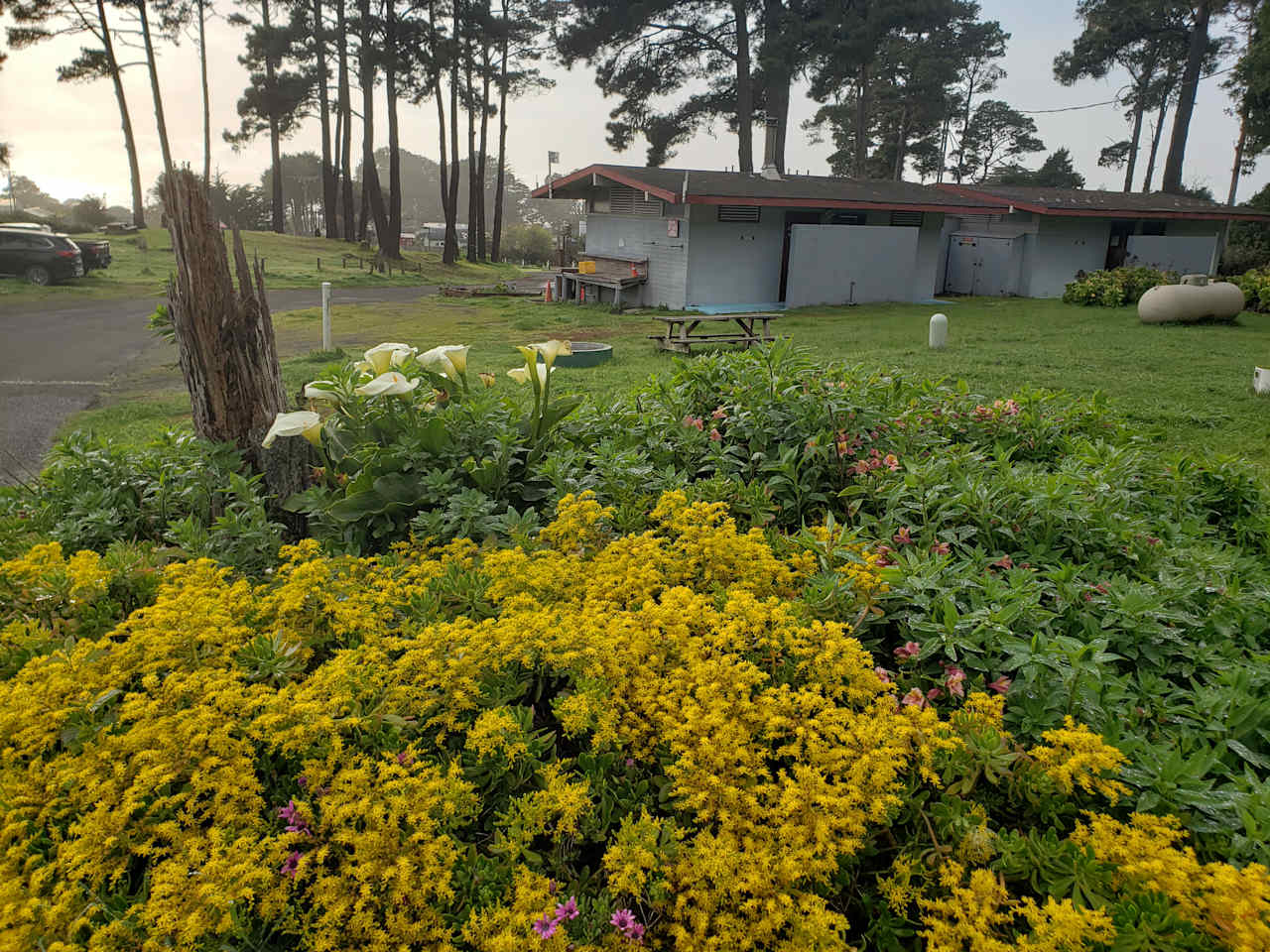 Hidden Pines RV Park Campground