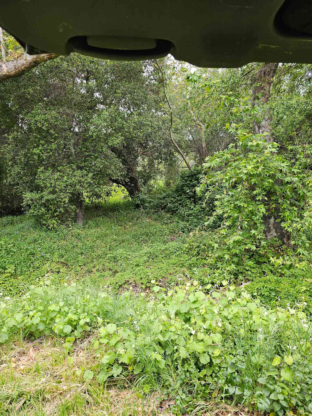 San Diego Canyon Creek