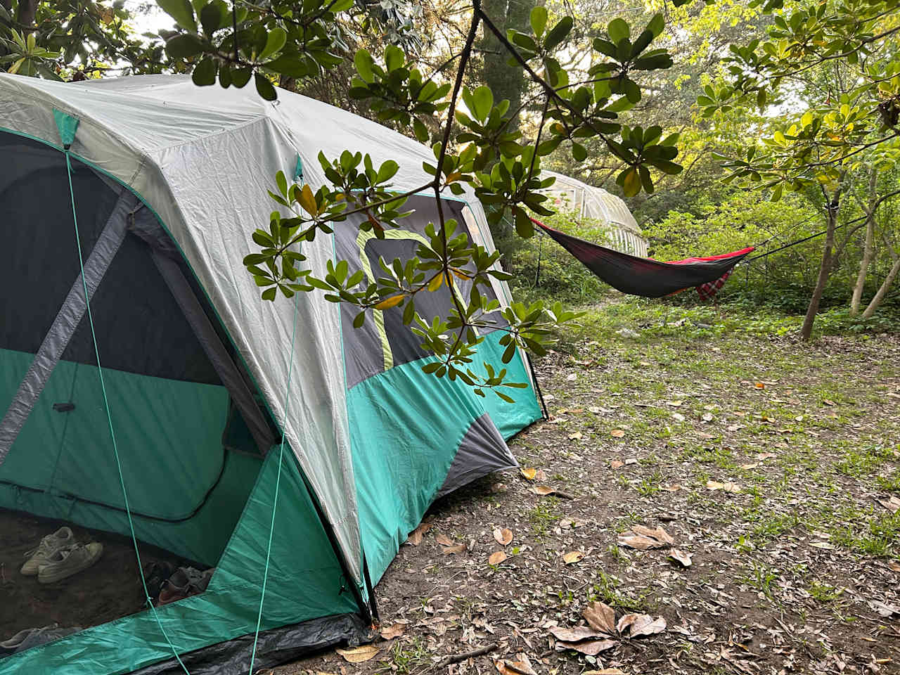 Campsite by the Honey House.
