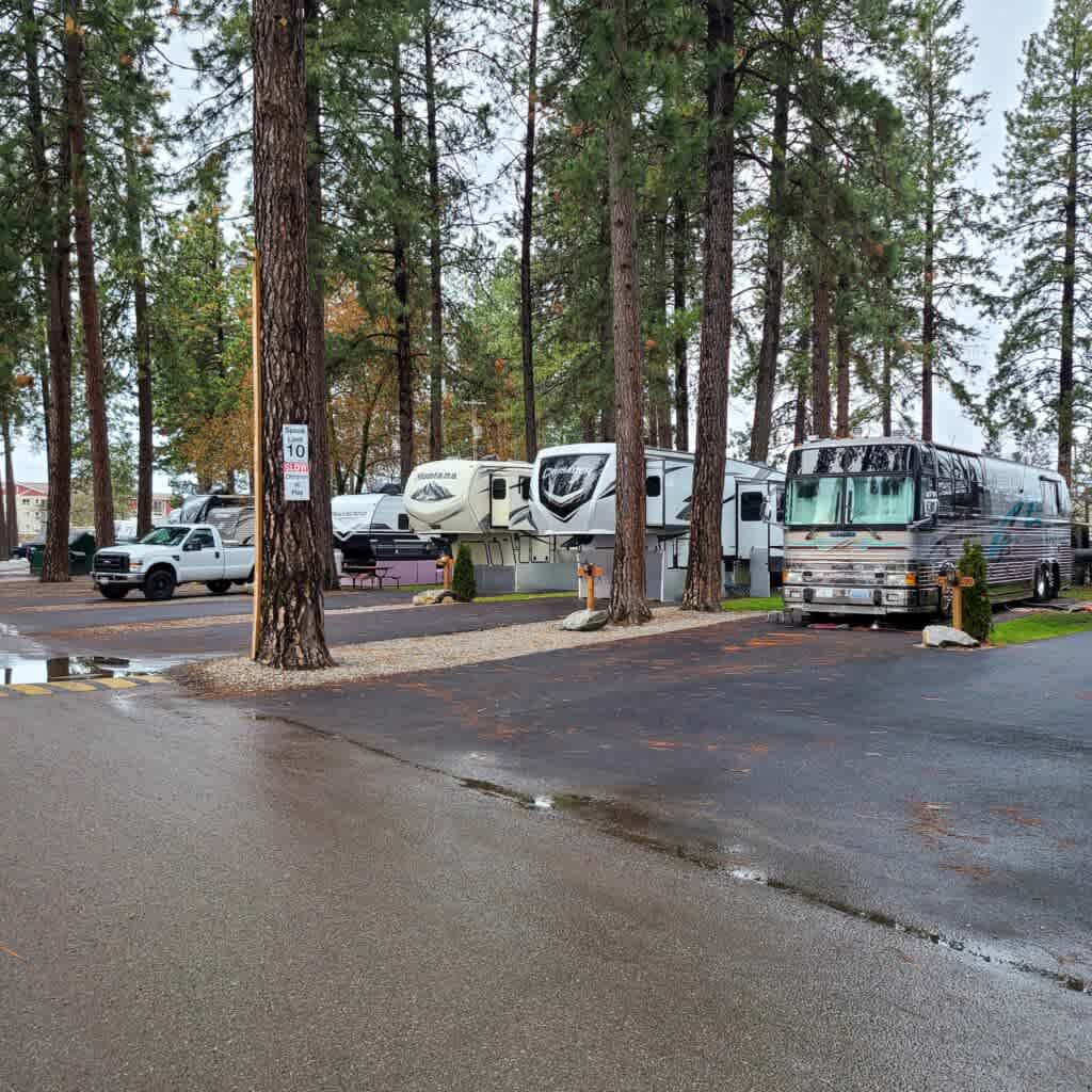 Tamarack RV Park and Vacation Cabins
