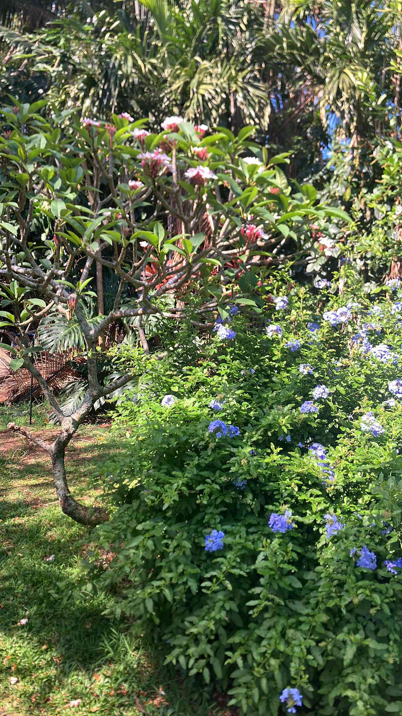 Haiku Farm & Campground