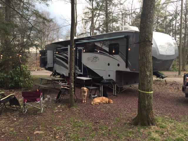 Lehigh Gorge Campground