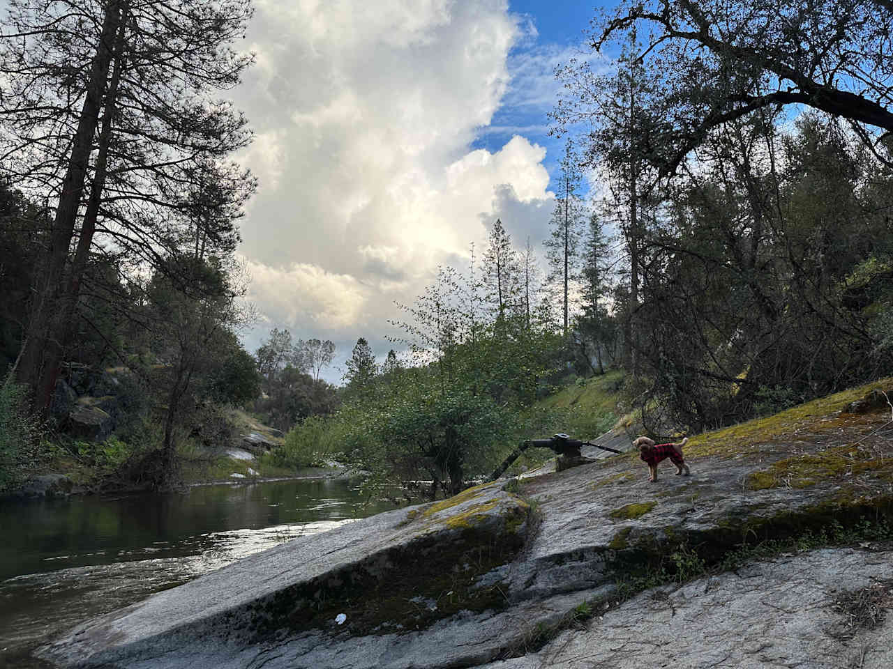 Cosumnes River Somerset Camp