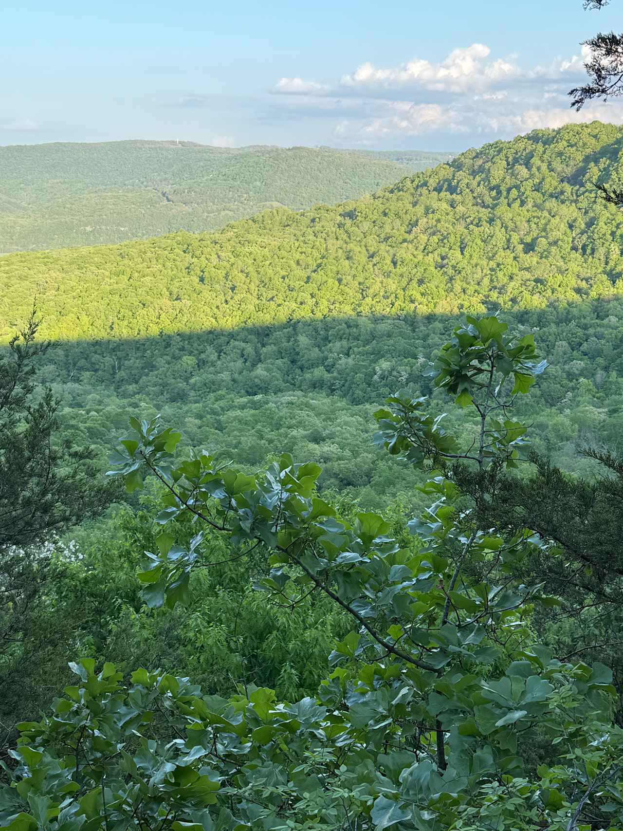 Overlook