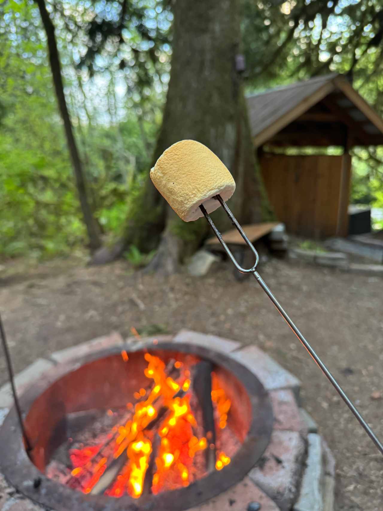Smores by the fire! 