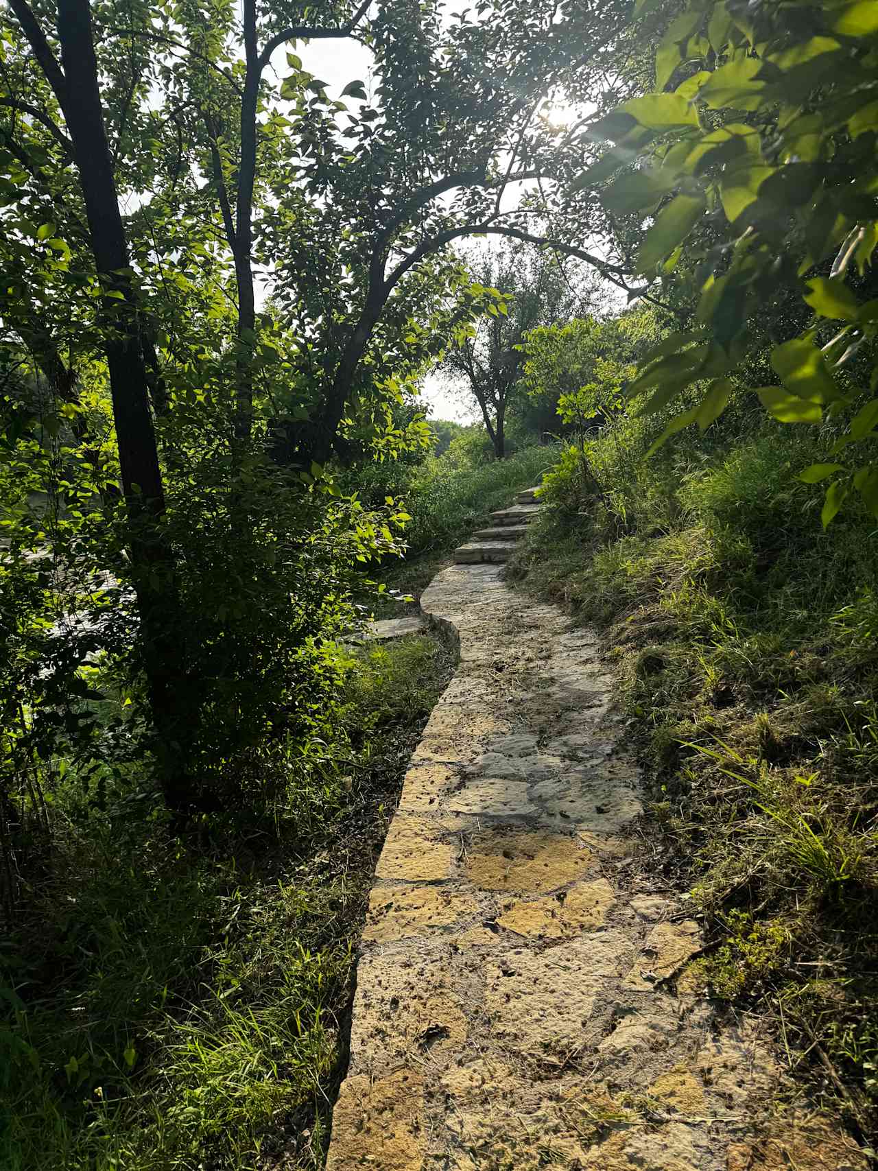 Pathway to site 2
