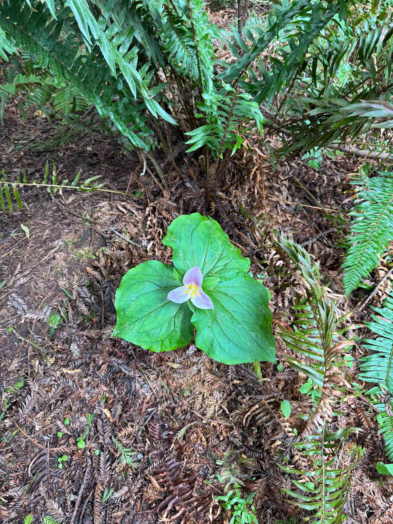 Baby Banana Slug Farm