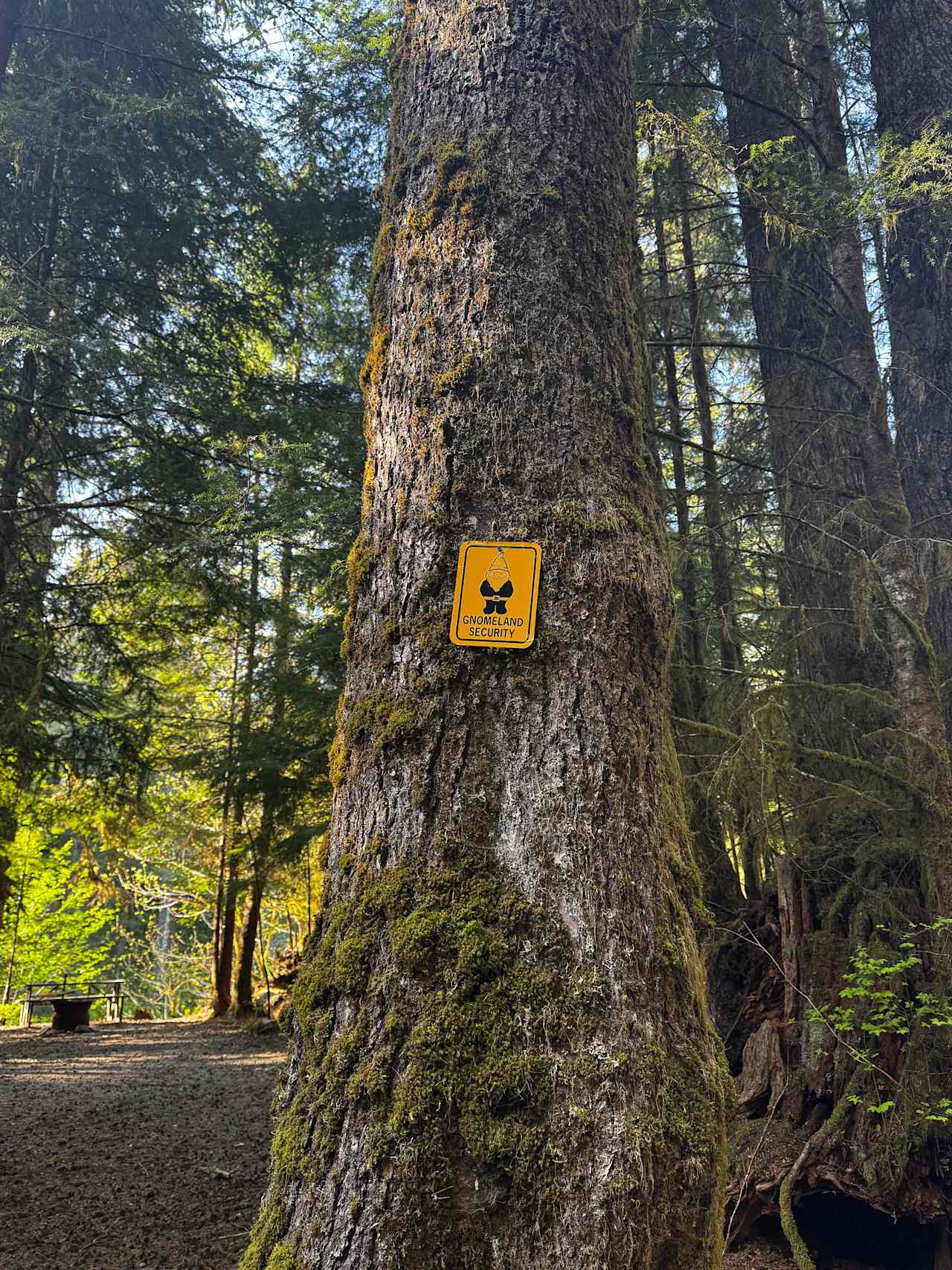 Dawleys SolDuc River Campground