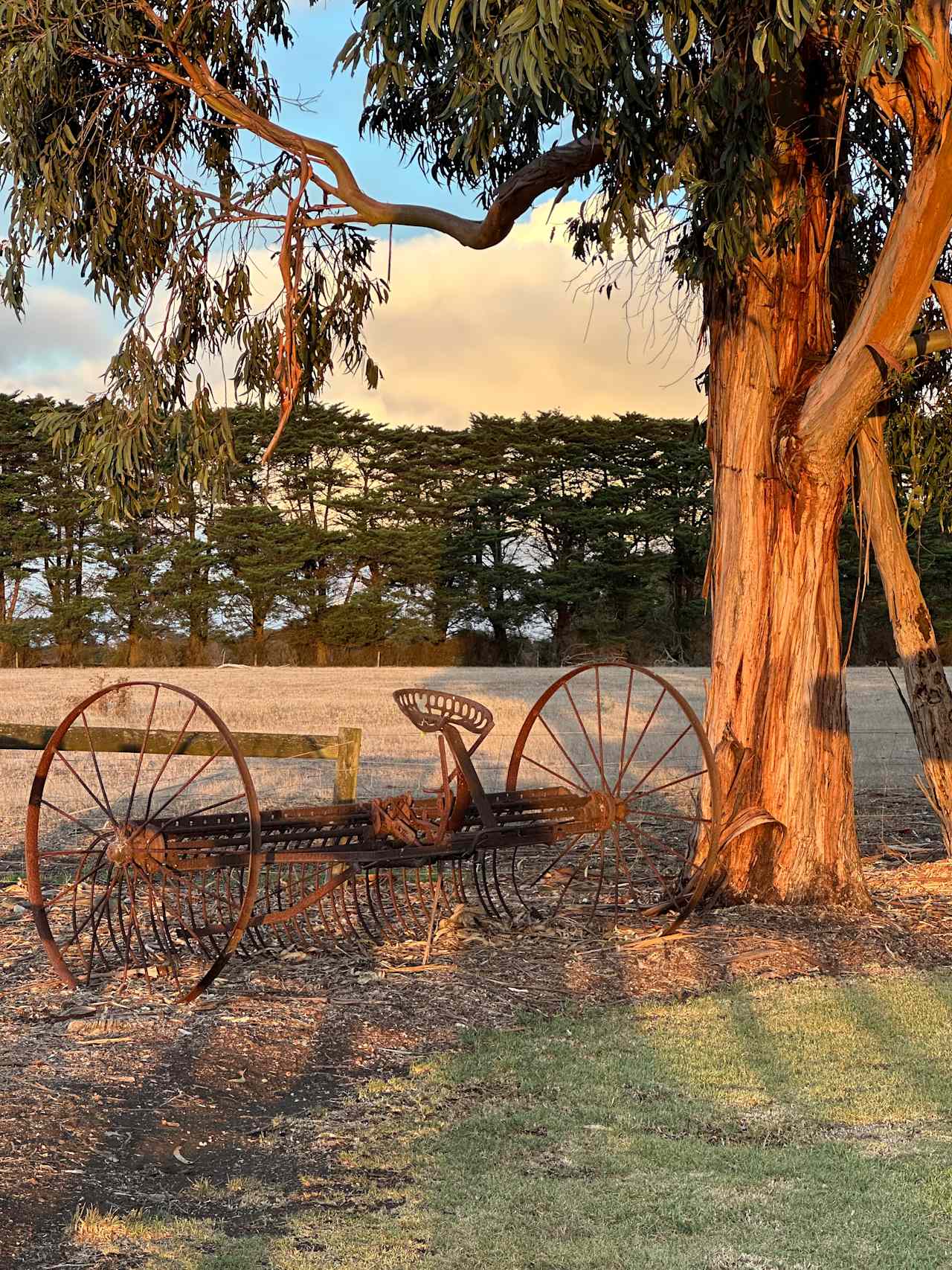 Hampton Park