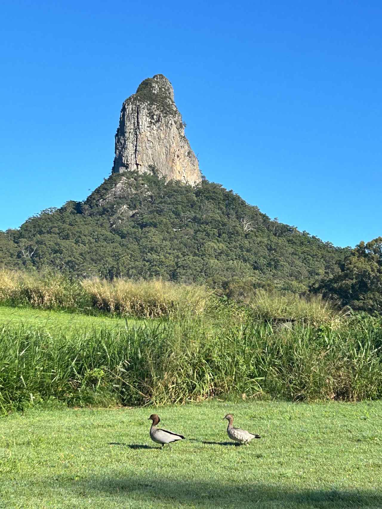 Pims Mountain Retreat