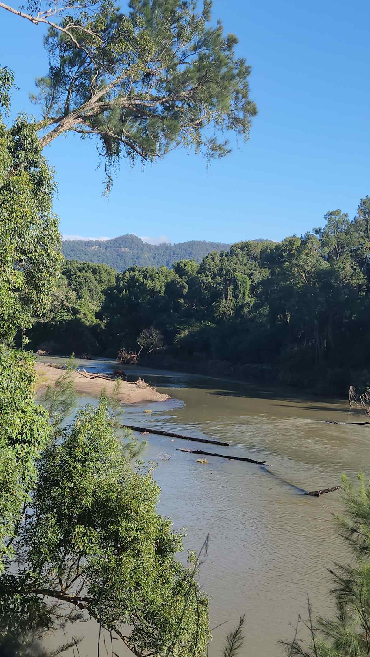 McKenzies Mountain, Wollumbin