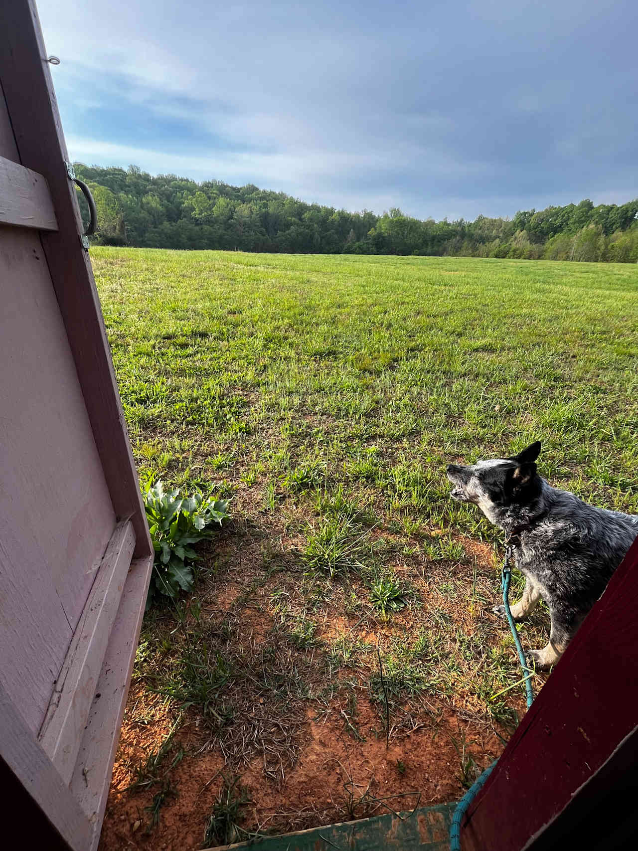 Honah Lee Farms
