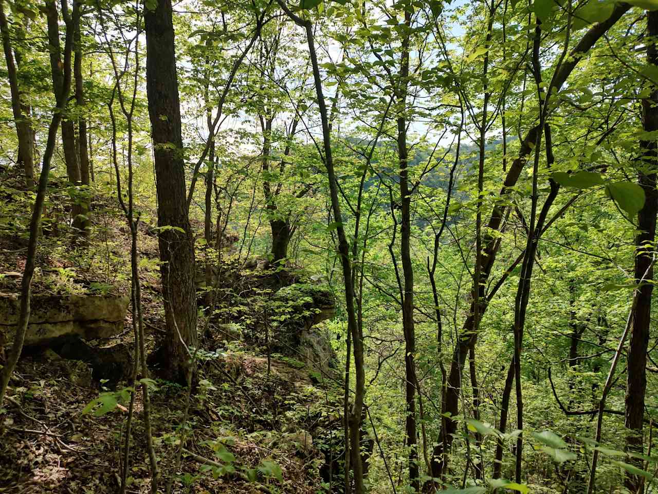 Camp Middle Fork
