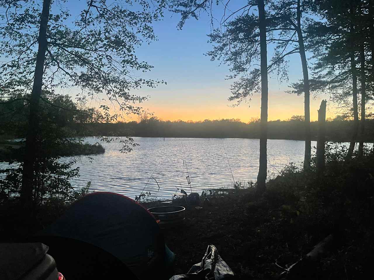 Paradise 