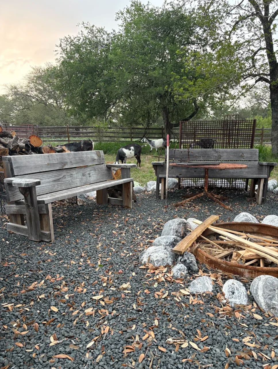 Campfire area 