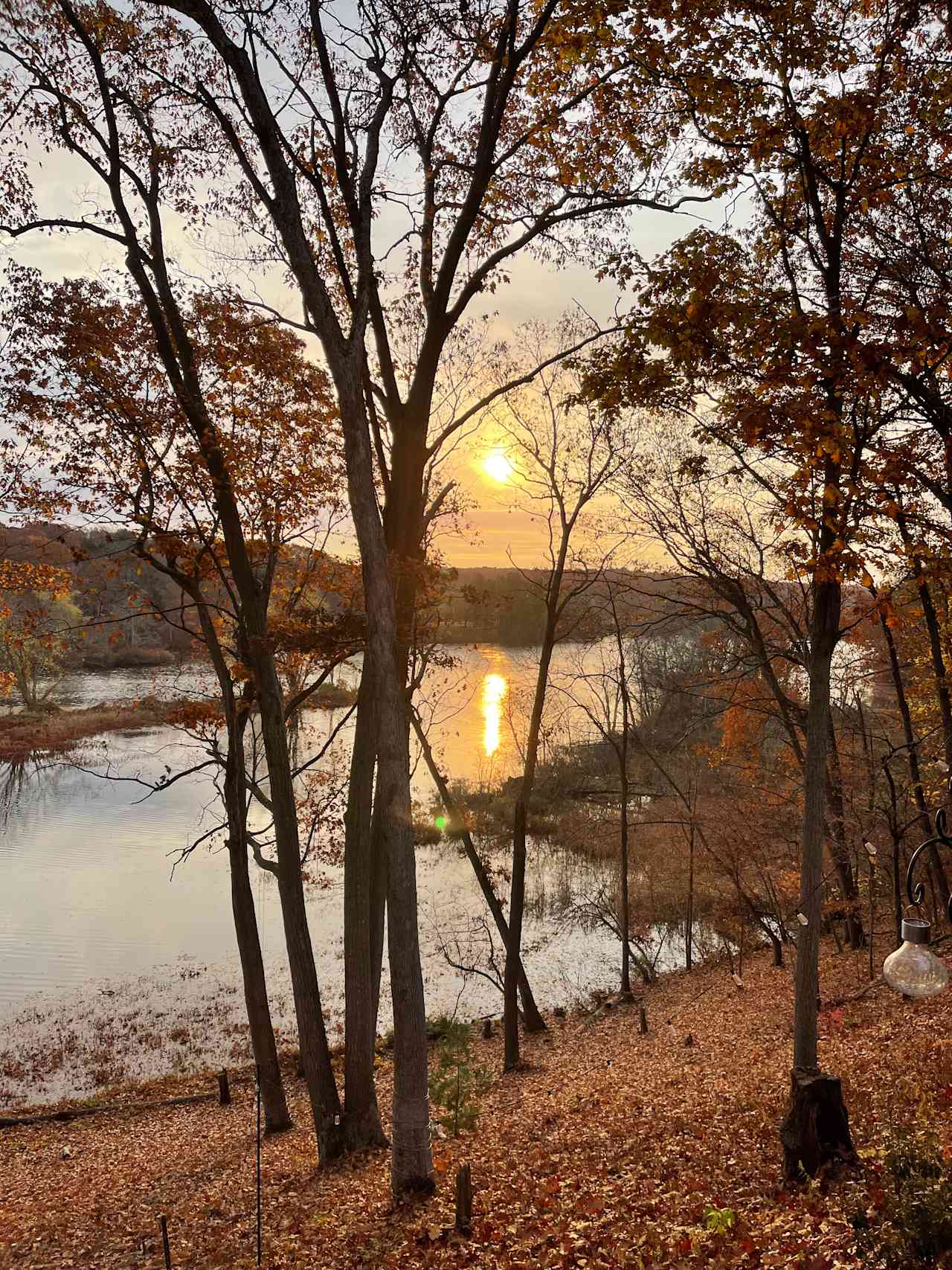 View of the morning river from the patio 