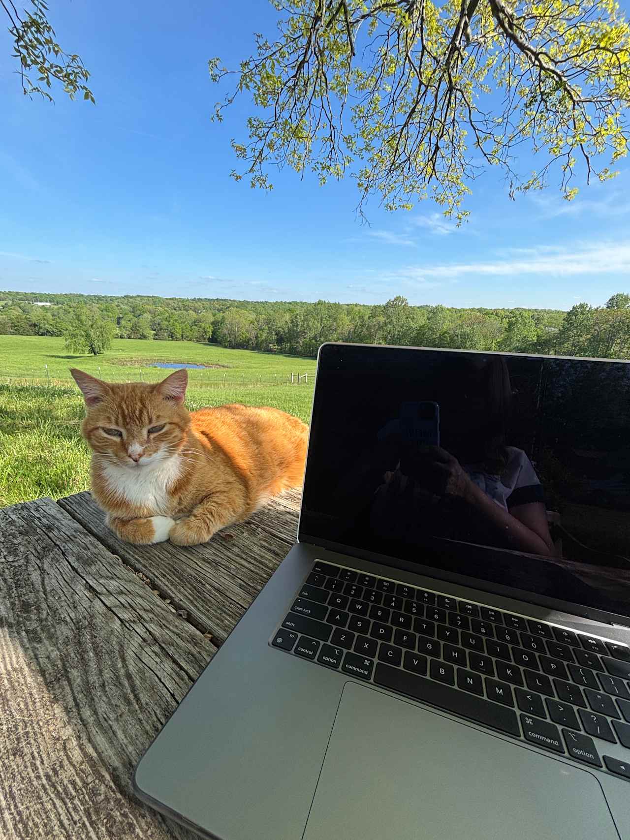 My writing buddy