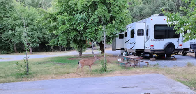 Fawndale Oaks RV Park