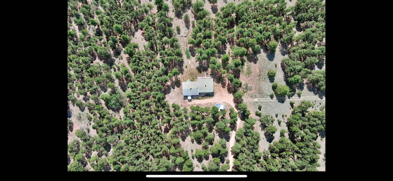 DZ Ranch Camps