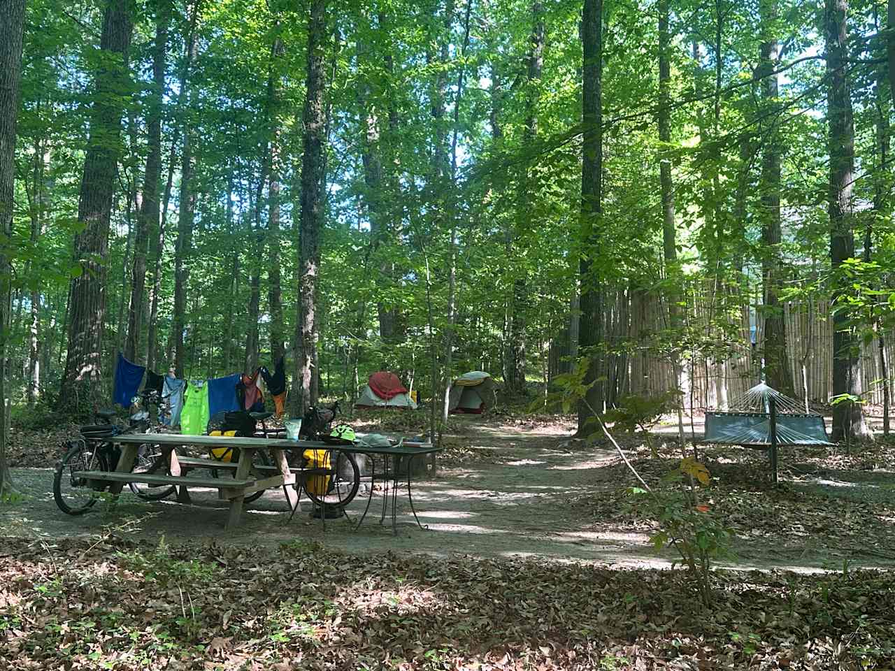 Site E