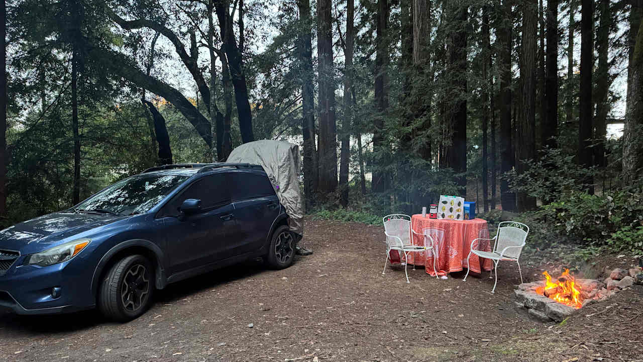 Redwood Grove