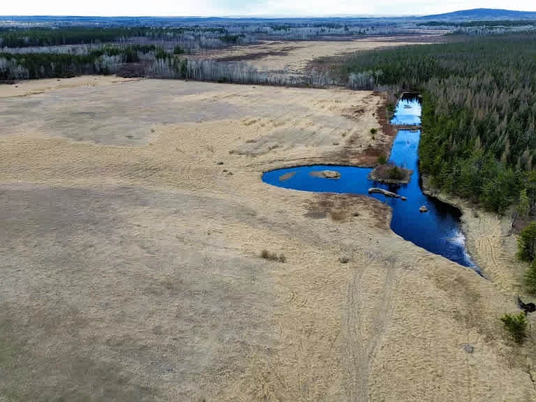 Scruffys River Retreat