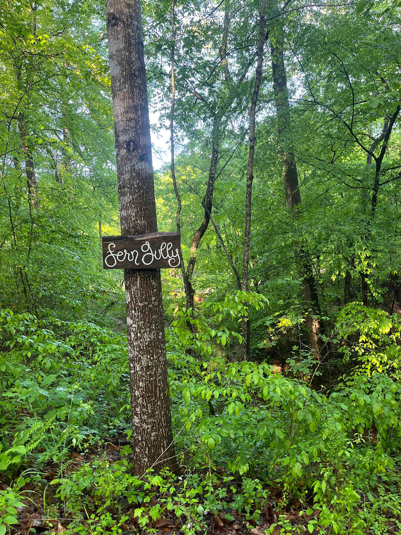 Camp Moondog
