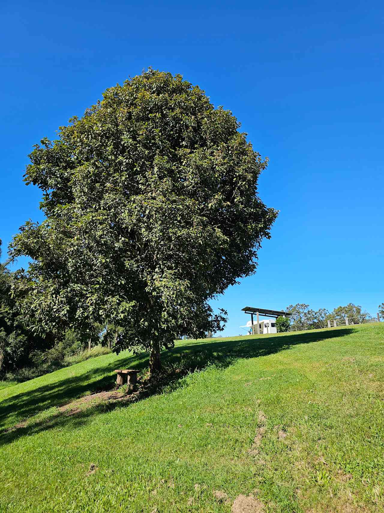 Yabba Creek Farm