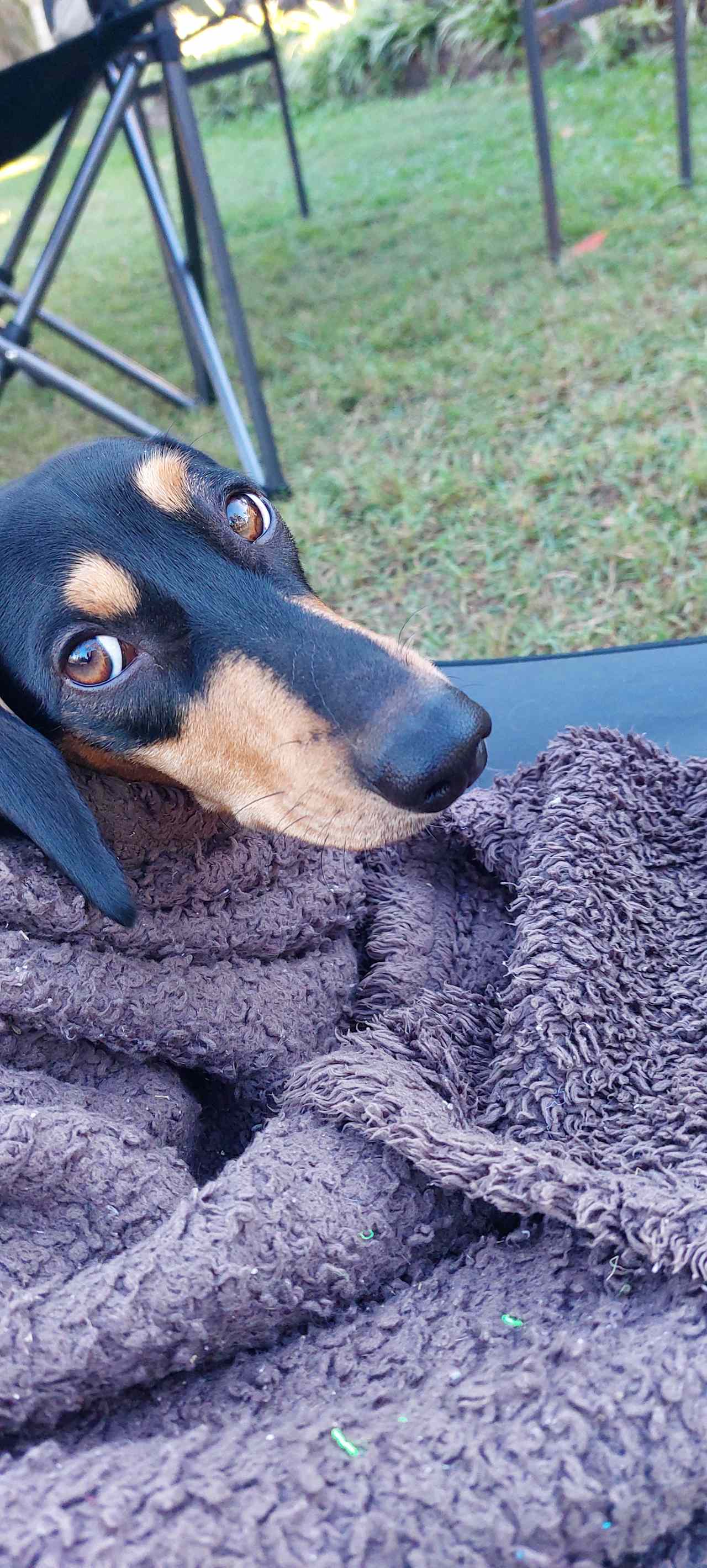 Peaceful Bush Camp-Wrinkles