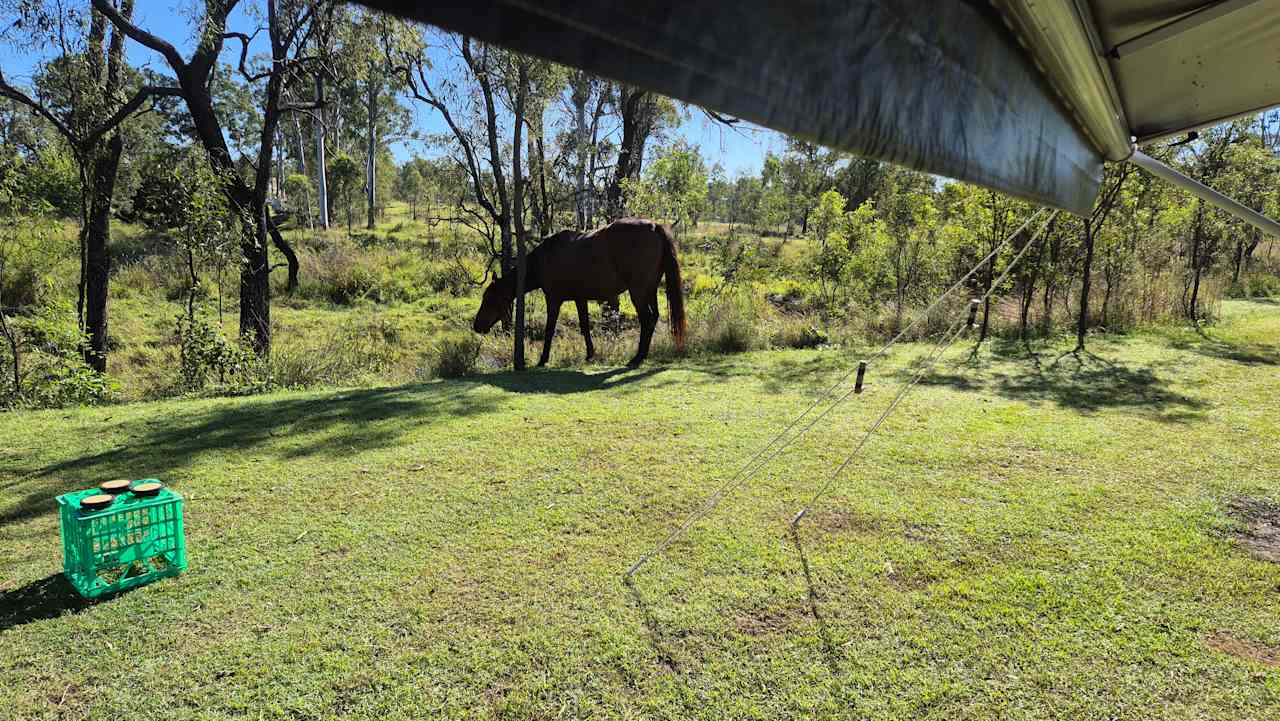 Jack's Place Toogoolawah