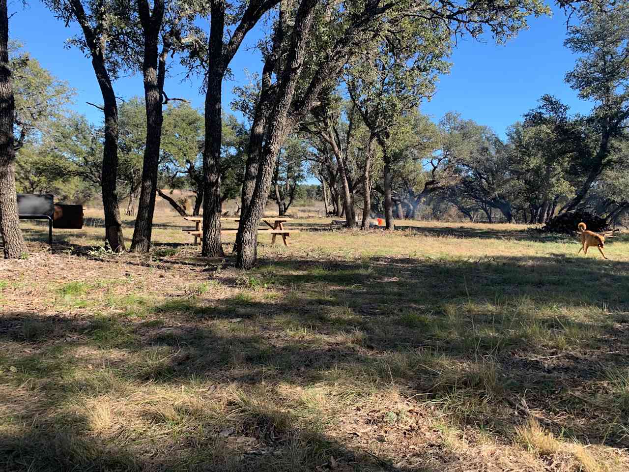 Waypoint Ranch
