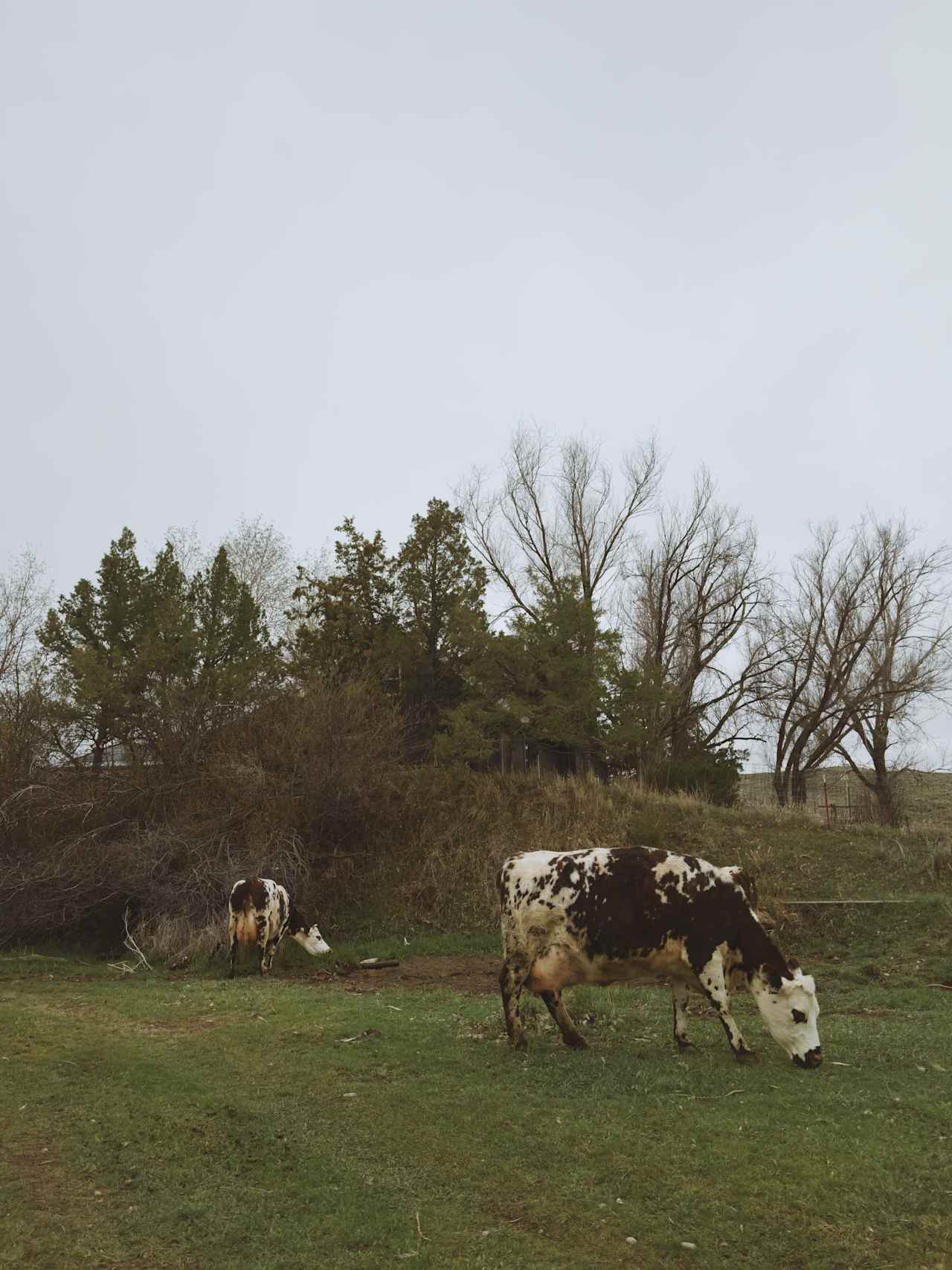 Cross E Ranch Camping