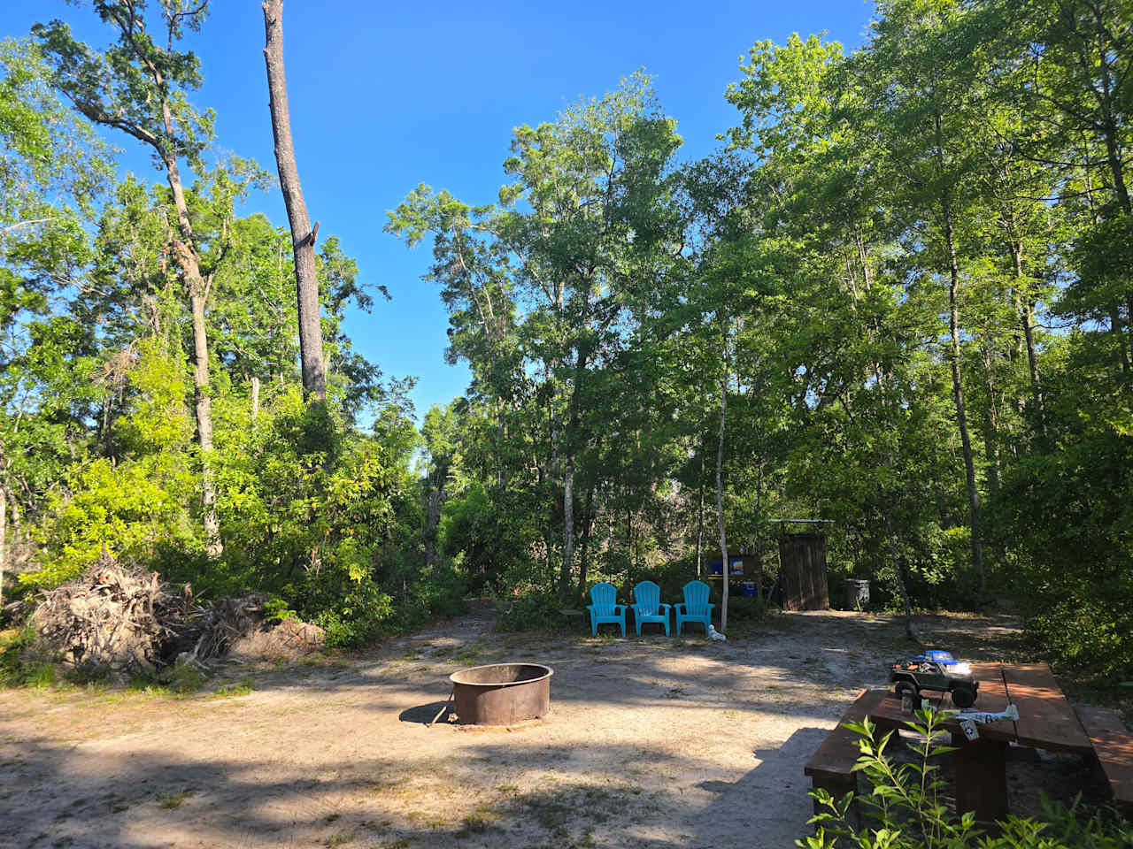 Secluded Wooded Campsite 🏕️