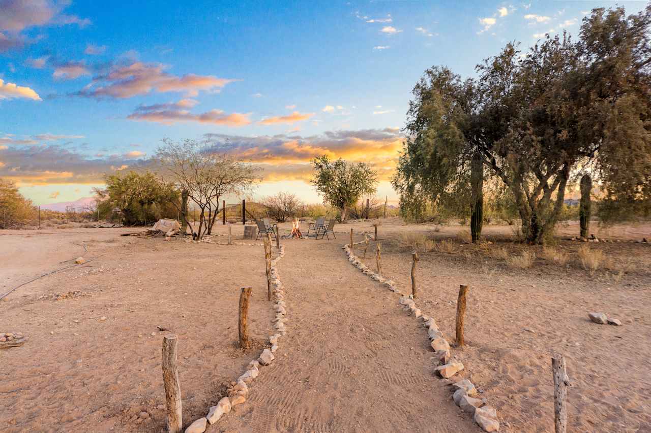 SaguaroGlamp