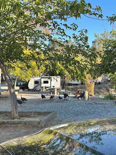 Lake Amador Resort