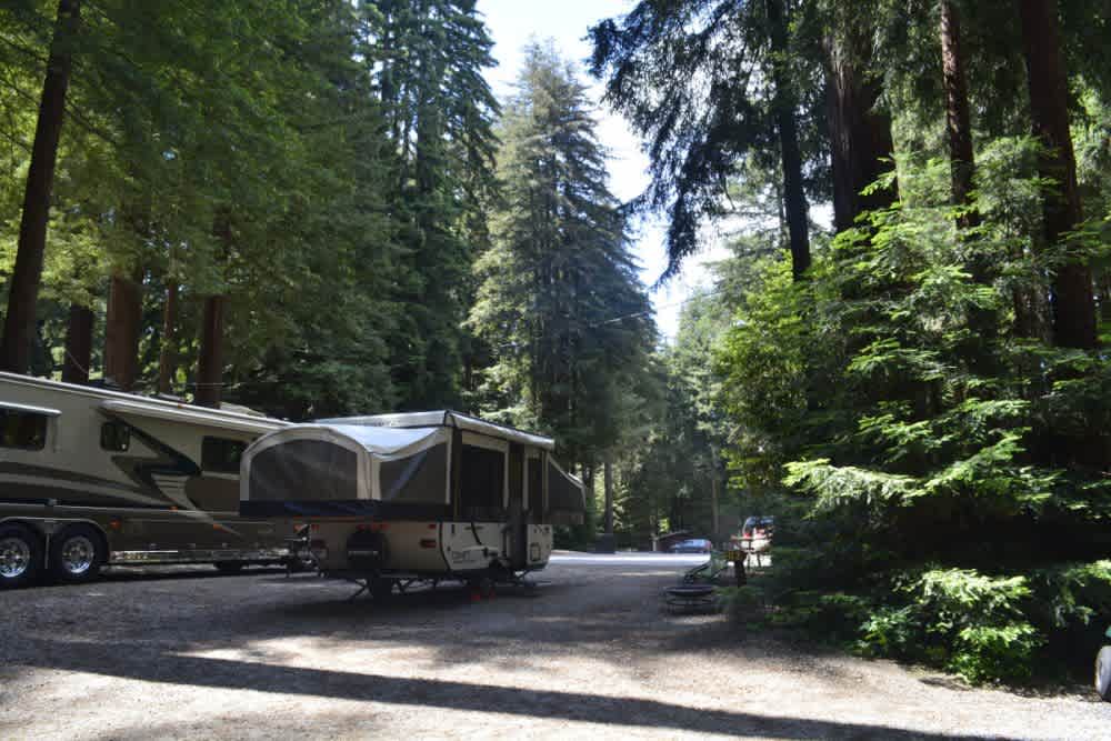 Santa Cruz Redwoods RV Resort