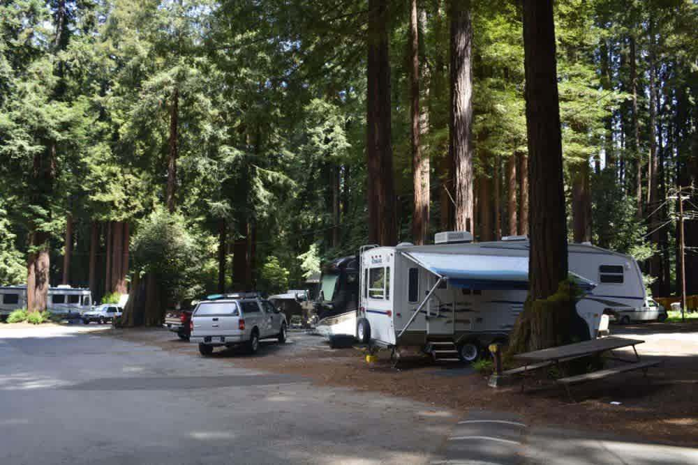 Santa Cruz Redwoods RV Resort